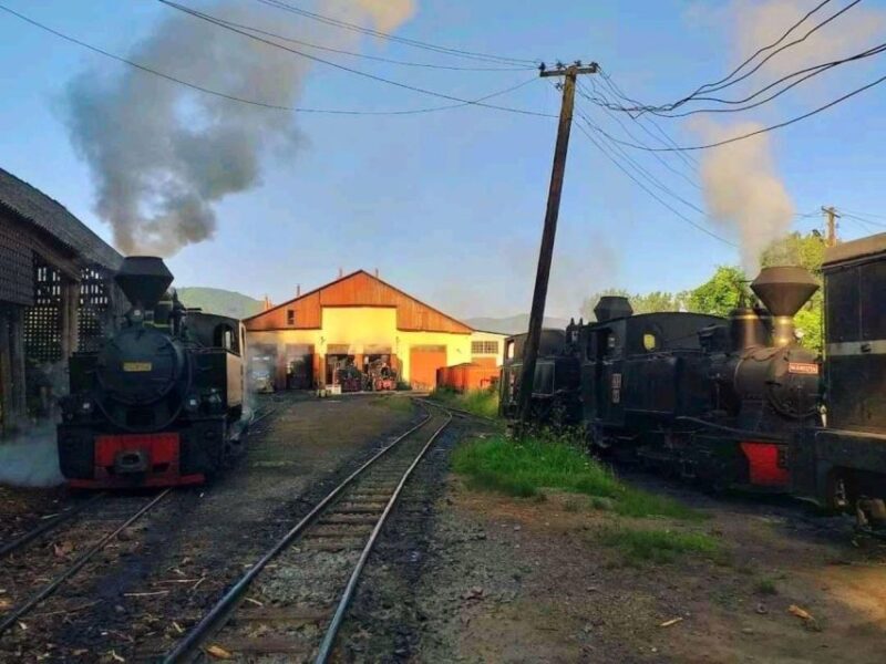 The trains of Romania in 9 days - Vaser Valley Forest Train and Narrow-Gauge Locomotive Depots