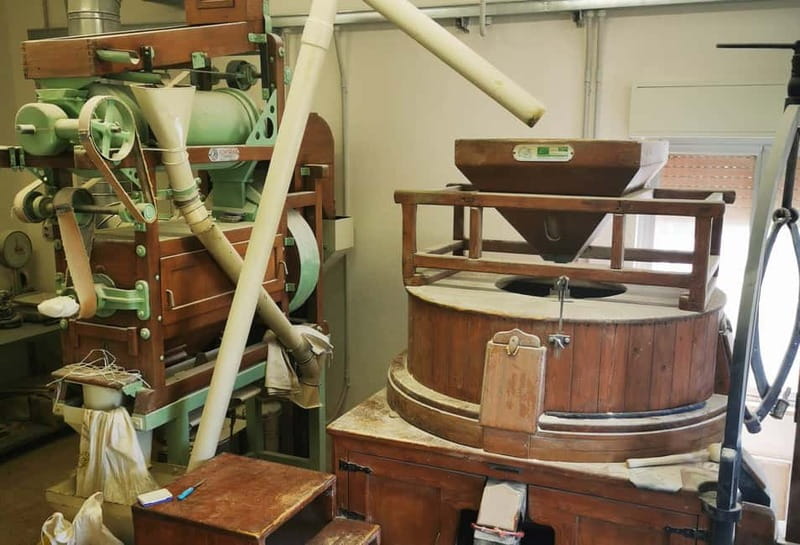 The treasures of the Nisseno: oil wine cheese and cuddrireda - Key Points