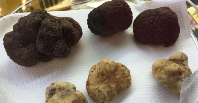 The Truffle Experience in Rome - The Location and Setting of the Truffle Tasting in Rome