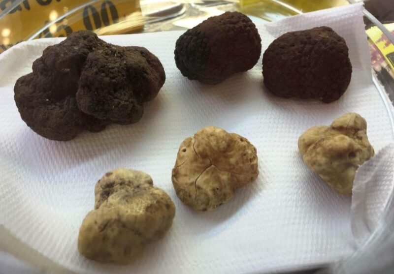 The Truffle Experience in Rome - The Cost and Overall Value