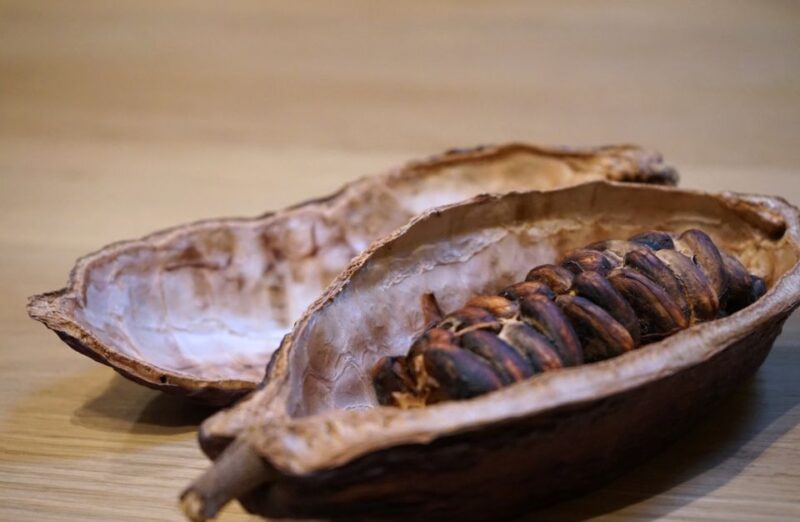 The Turin Chocolate & Wine Tasting Experience - Walking Tour and Sightseeing Throughout