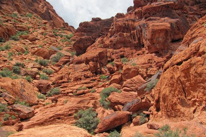 The Ultimate Red Rock Canyon Scenic Experience - Guide Expertise and Personal Attention