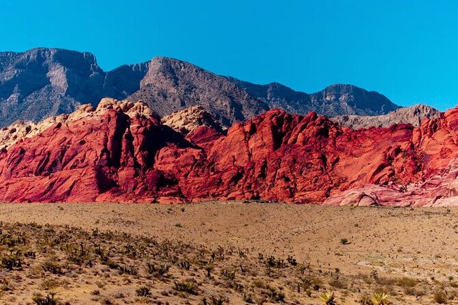 The Ultimate Red Rock Canyon Scenic Experience - Pricing, Value, and Additional Costs