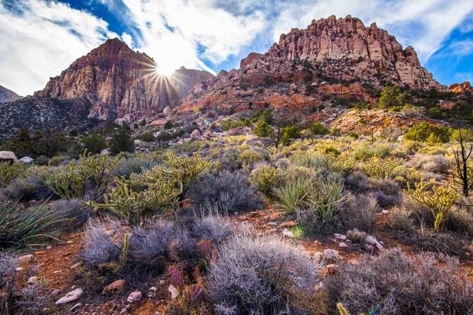 The Ultimate Red Rock Canyon Scenic Experience - Physical Requirements and Accessibility