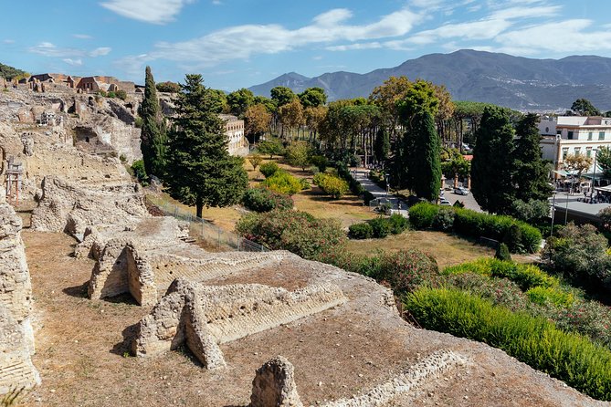 The Ultimate Ruins of Pompeii and Herculaneum Private Day Trip - Starting Point and Logistics of the Tour