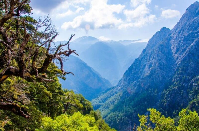 The Unique Tour of Samaria Gorge - Physical Requirements and Safety Considerations