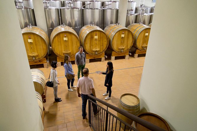 The Valpolicella food & wine driving tour: cheese factory+ winery - Learning About Amarone and Valpolicella Wines