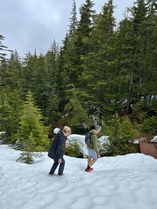 The Vancouver Summit Walk - Suitability and Who Will Love This Tour