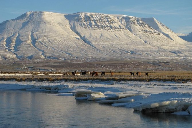 The Viking Horse Riding Experience in North Iceland - The Viking Horse Riding Experience in North Iceland