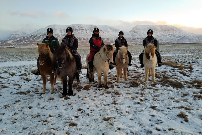 The Viking Horse Riding Experience in North Iceland - Meeting Point and Group Size for a Personal Experience