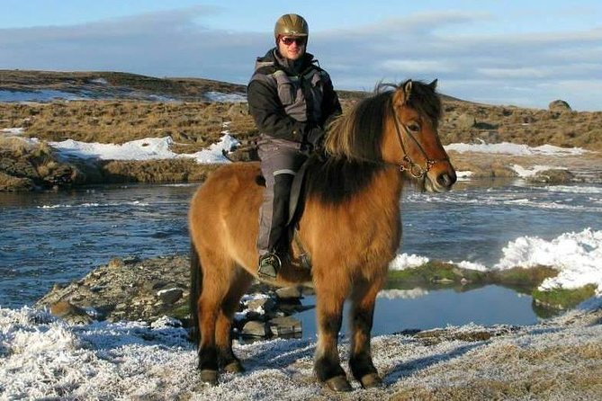 The Viking Horse Riding Experience in North Iceland - Operating Conditions and Practical Tips