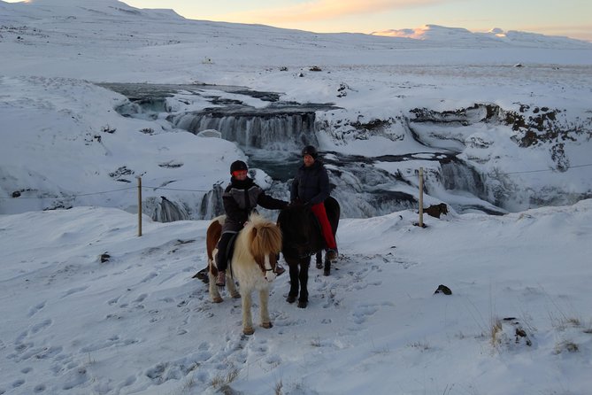 The Viking Horse Riding Experience in North Iceland - The Booking Process and Flexibility