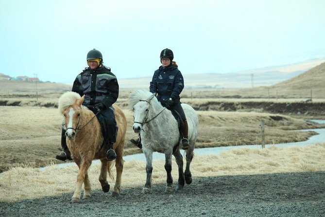 The Viking Horse Riding Experience in North Iceland - The Sum Up: A Cultural and Scenic Ride in North Iceland