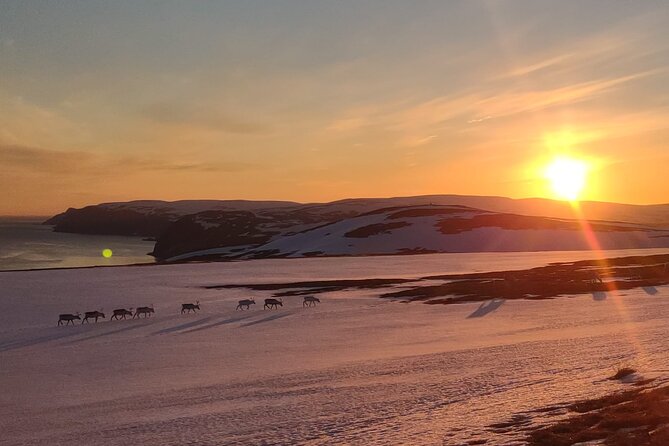 The VIP North cape tour (Honningsvåg - Skarsvåg - the North cape) - The VIP Experience Begins at Honningsvåg