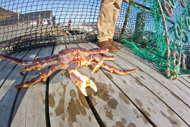 The VIP North cape tour (Honningsvåg - Skarsvåg - the North cape) - Visiting the North Cape Experience Centre and Museum
