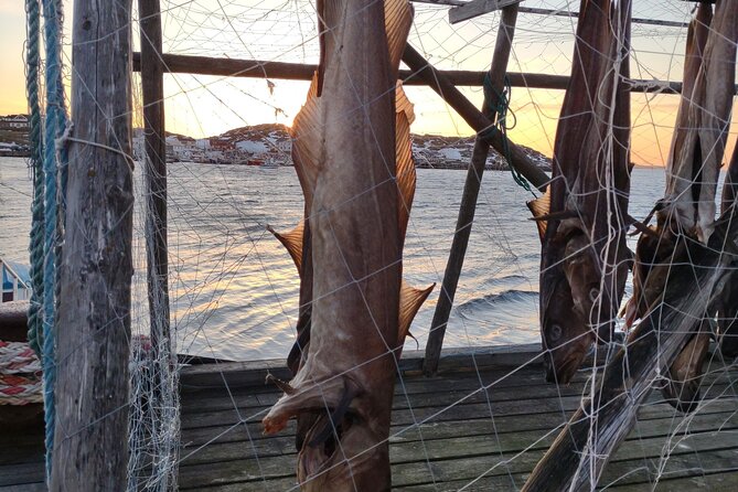 The VIP North cape tour (Honningsvåg - Skarsvåg - the North cape) - The Final Toast at the North Cape