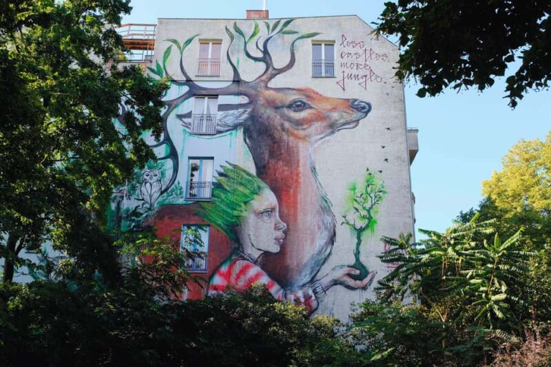 The Walls of Berlin: Street Art Tour with an Artist - Key Points