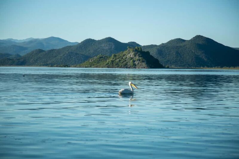 The Wild Route  Skadars Hidden Amazon - Final Thoughts: Authentic and Peaceful Exploration of Skadar Lake