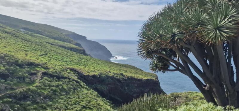 The Wildest Side of La Palma: Hiking into the Past in Garafía - Key Points
