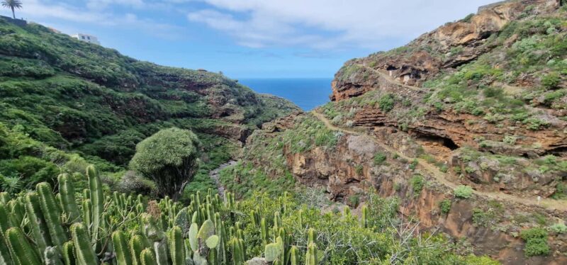 The Wildest Side of La Palma: Hiking into the Past in Garafía - Practical Details: Logistics and Group Experience