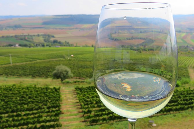 The wine route by bike - Explore Romania’s Wine Region on a Guided Bike Tour