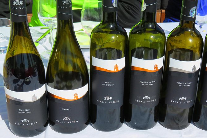 The wine route by bike - Visiting Crama Serve Ceptura: French-Invested and Highly Praised