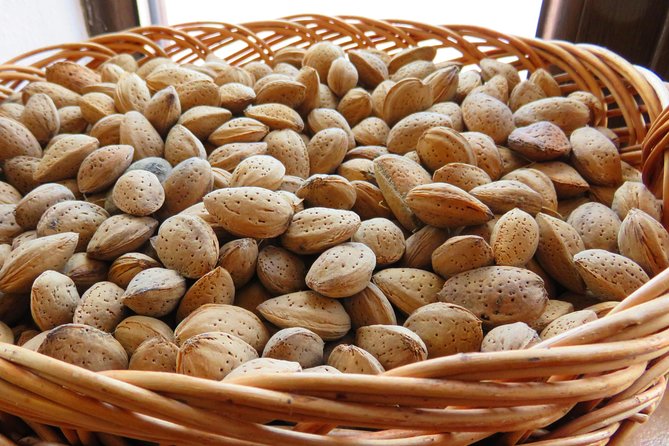 The wine route by bike - Practical Details and Tips