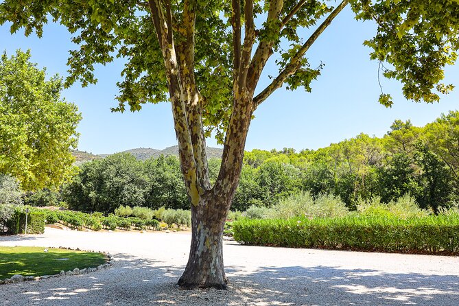 The wines of the Luberon, the Château de Lourmarin & Bastide du Laval olive oil - Tasting Provençal Wines at Château la Canorgue