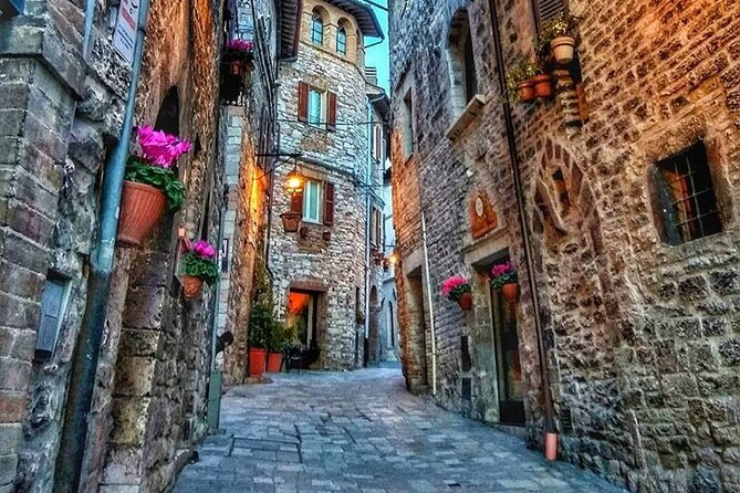 The Wonders of Assisi Private Walking Tour - The Guide: Knowledgeable and Enthusiastic