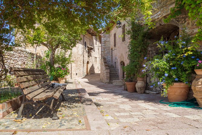 The Wonders of Assisi Private Walking Tour - Logistics: Convenient Meeting Point and Pacing