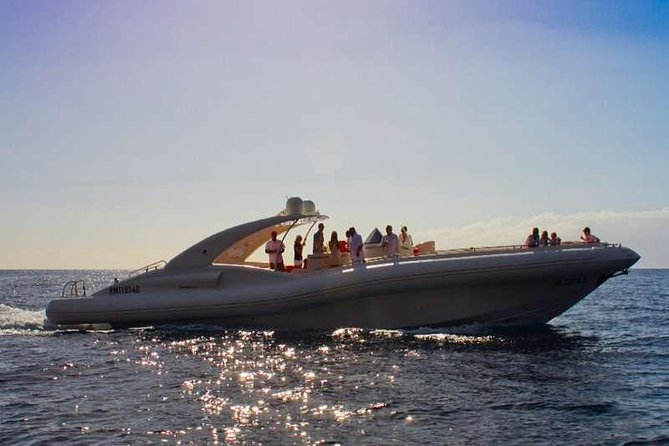 The Worlds Largest RIB luxury 3hrs including lunch and drinks - Wildlife Spotting: Whales, Dolphins, and Sea Turtles