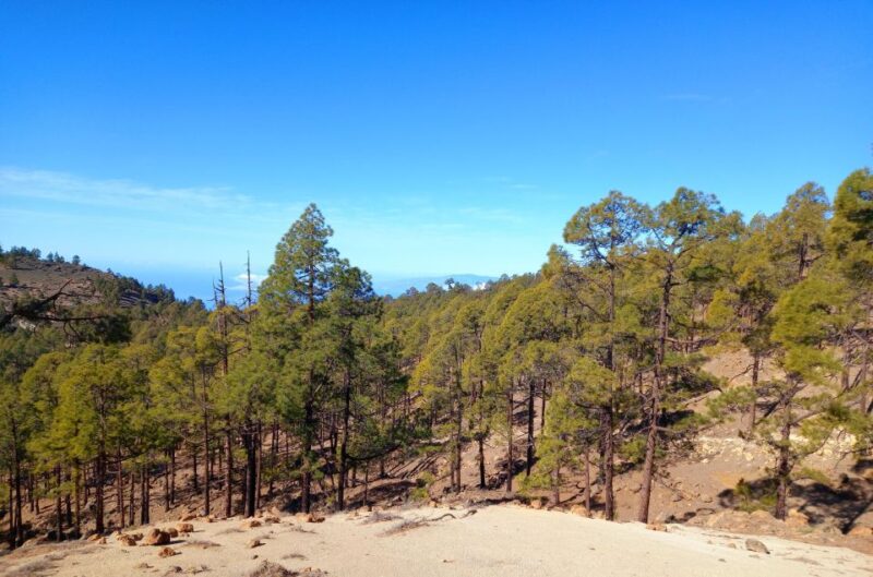 The Wow Factor Walk - The Guide: Andy’s Expertise and Approach