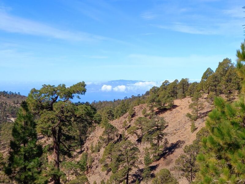 The Wow Factor Walk - Who Will Most Enjoy This Hike?