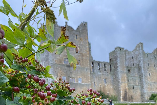 The Yorkshire Dales Tour from Windermere - Aysgarth Falls: Nature’s Movie Star