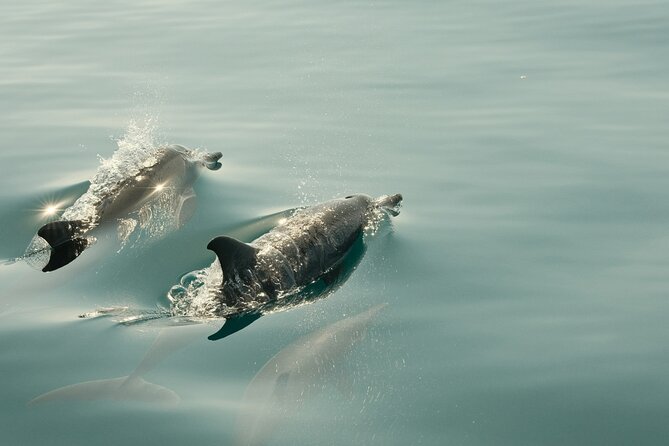 The Yucatán Loop 12 Day Mayan Adventure - Exploring Small Villages and Authentic Local Life