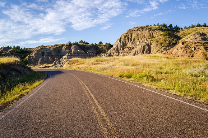 Theodore Roosevelt South Unit Self-Guided Driving Audio Tour - Limitations and Considerations