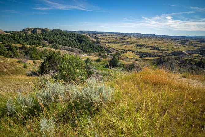 Theodore Roosevelt South Unit Self-Guided Driving Audio Tour - Frequently Asked Questions