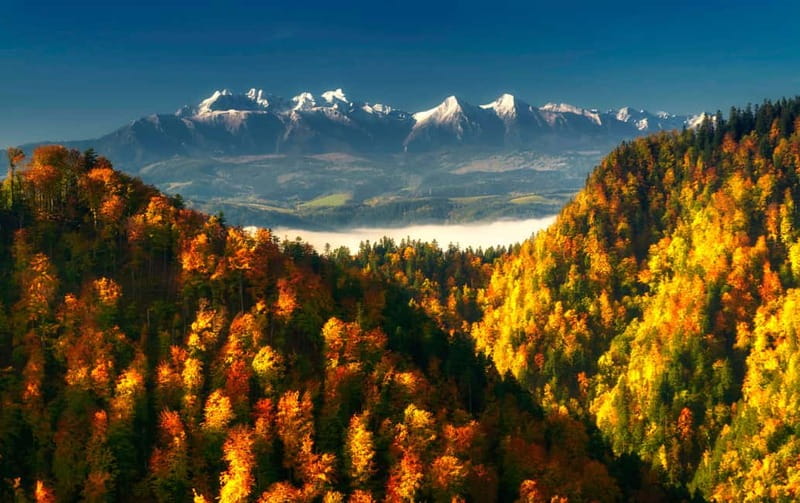 Thermal Baths and Zakopane Day Trip with Cable Car - Gubaówka Hill: Cable Car Ride and Panoramic Views