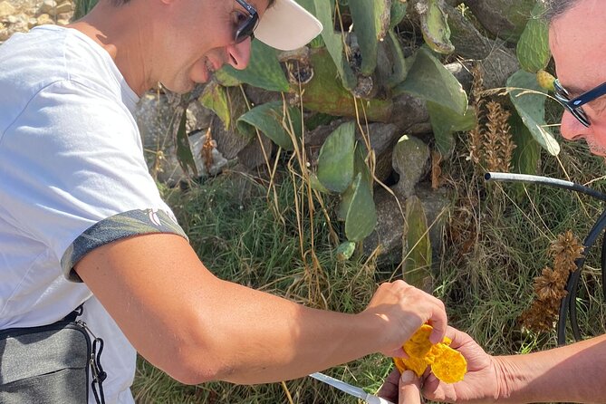 Thermal Baths natural hot spring and Greek Temple of Segesta - Tasting Sicilian Flavors: Pane Cunzato and Local Sweets