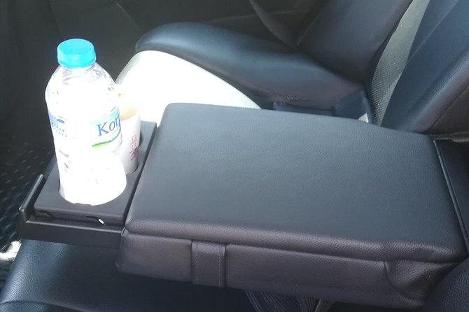 Thermopylae and Delphi Full Day Private Tour - Practical Details and Comfort