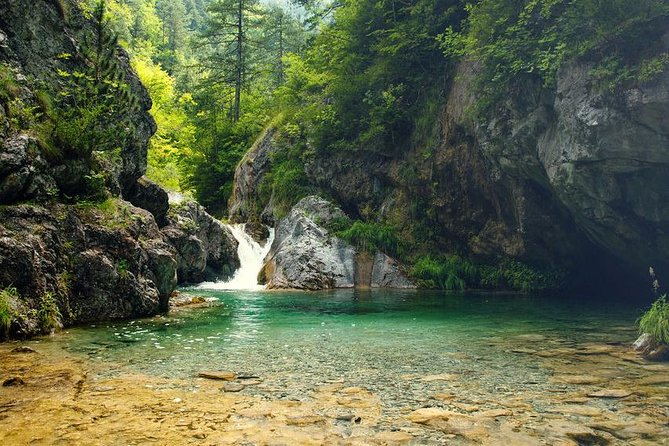 Thessaloniki: Bus Trip to Dion & Mt Olympus National Park - Overall Experience and Practical Tips