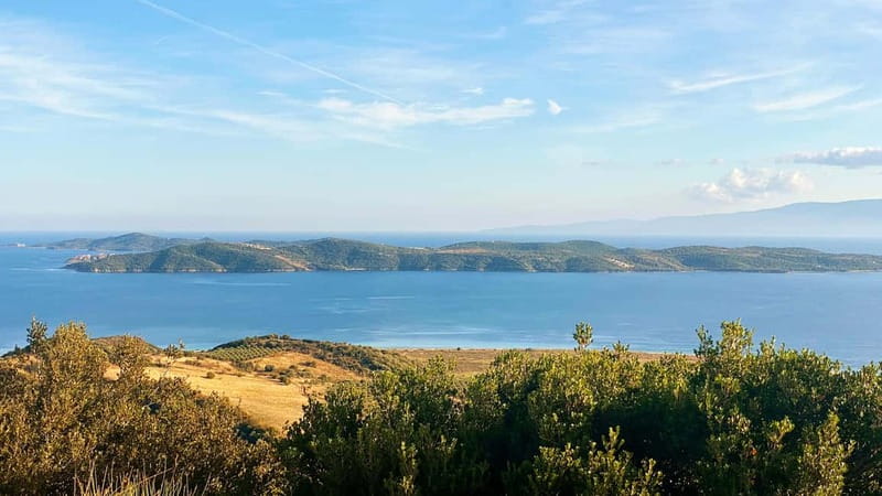 Thessaloniki: Halkidiki, Arnaia, Ierissos  Swim & Tasting - Swimming and Beachside Relaxation at Ierissos