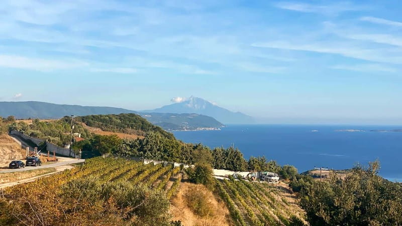 Thessaloniki: Halkidiki, Arnaia, Ierissos  Swim & Tasting - Frequently Asked Questions