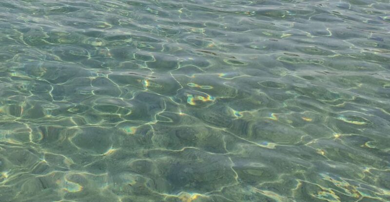 Thessaloniki: Halkidiki Beach-Hopping & Swimming - Key Points