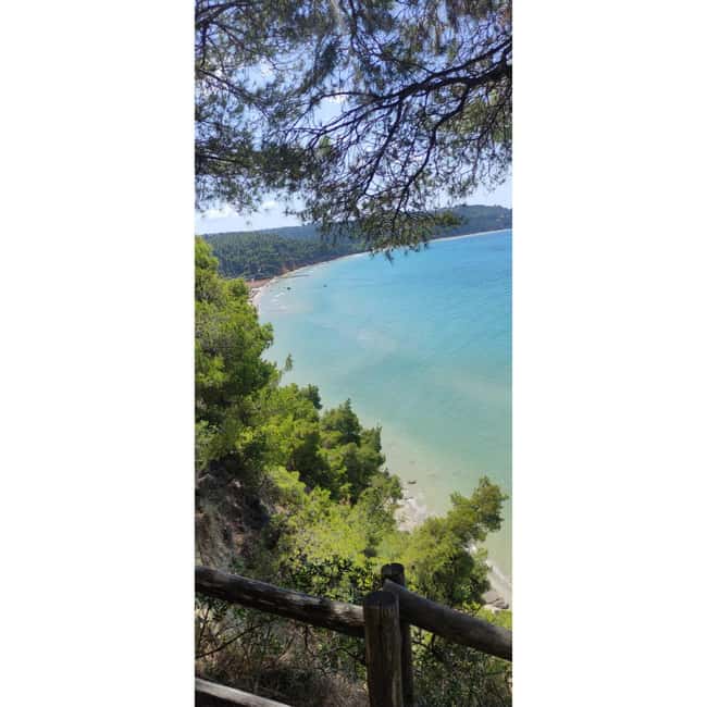 Thessaloniki: Halkidiki Beach-Hopping & Swimming - Highly Praised Guides and Personal Service