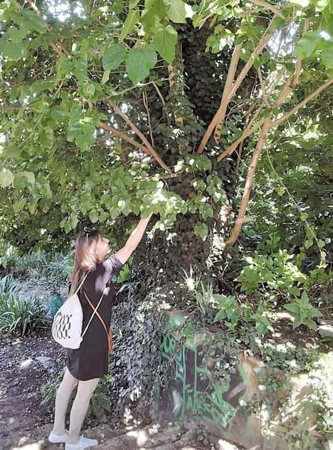 Thessaloniki Old Town Walking Tour-Culture-Nature-Plants - What Sets This Tour Apart