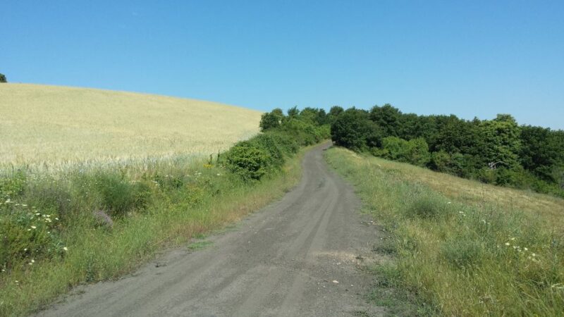 Thessaloniki: Private Mountain and Beaches SUV Safari - What Makes This Tour Stand Out