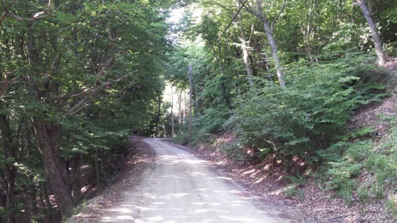 Thessaloniki: Private Mountain and Beaches SUV Safari - Thessaloniki: Private Mountain and Beaches SUV Safari – Final Thoughts