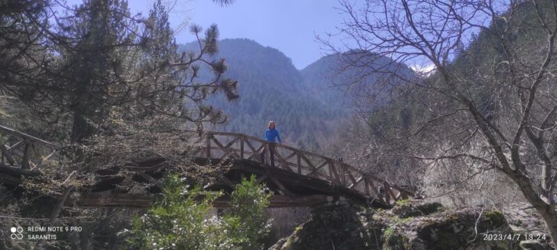 Thessaloniki: Private Olympus, Gorge, Old Panteleimonas - Experience Greek Cuisine in a Traditional Taverna