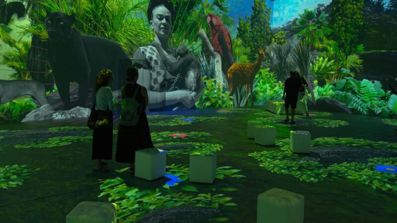 Thessaloniki: Ticket for Frida Kahlo Beyond the Icon Immersive Experience - A Digital Journey into Frida Kahlo’s World